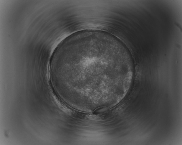 X0000103301128200809261307