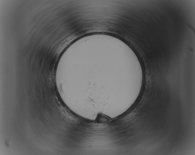 X0000103301129200809261307