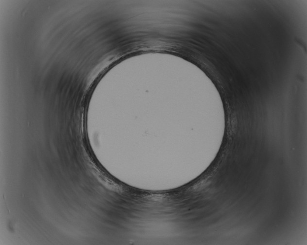 X0000103301130200809261307