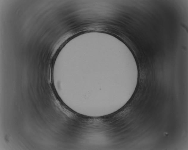 X0000103301131200809261307