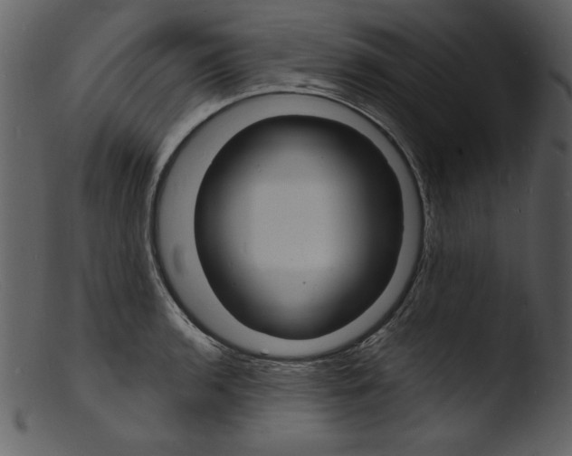 X0000103301136200809261307