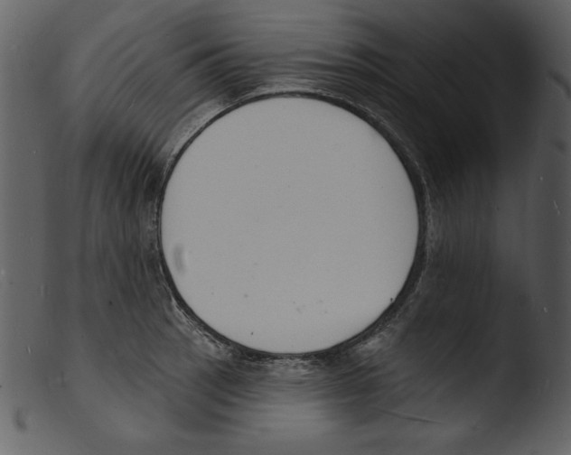 X0000103301137200809261307
