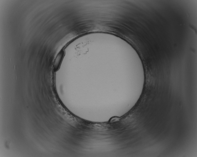 X0000103301138200809261307