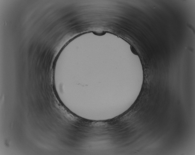 X0000103301140200809261307