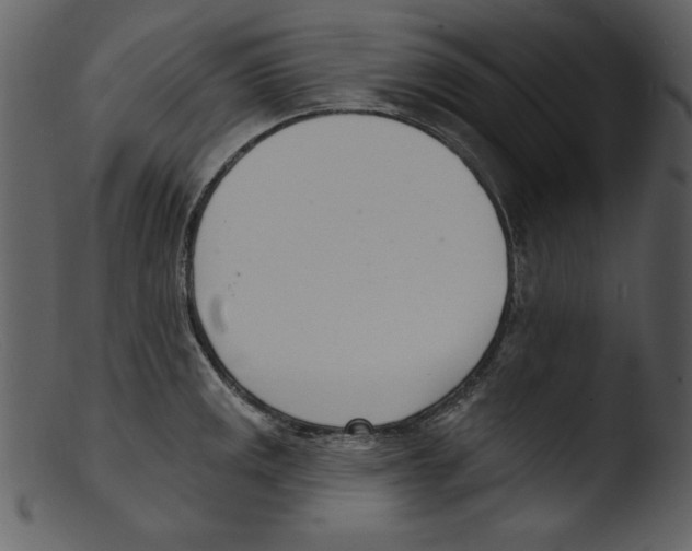 X0000103301141200809261307