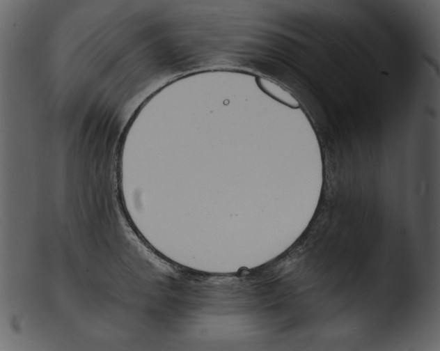 X0000103301142200809261307