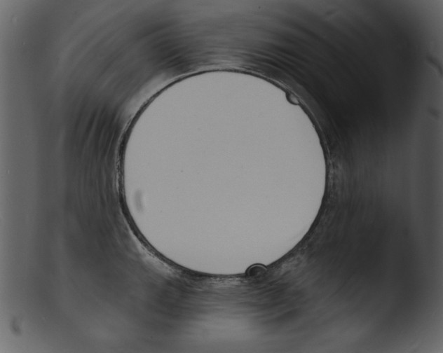 X0000103301143200809261307