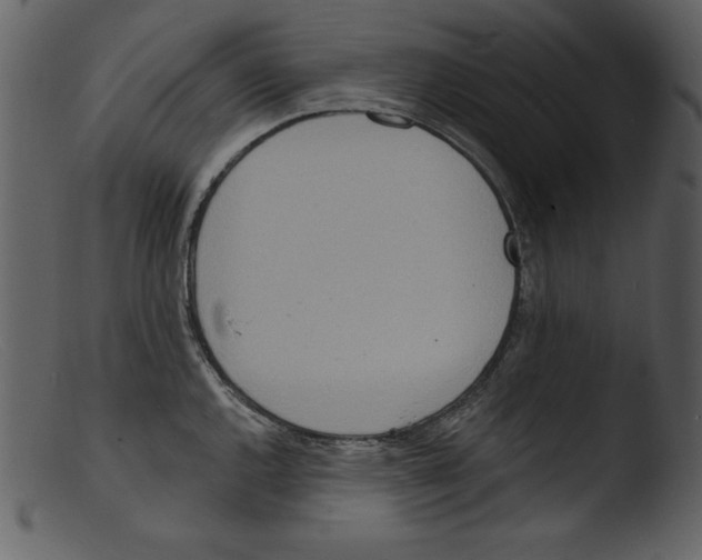 X0000103301144200809261307