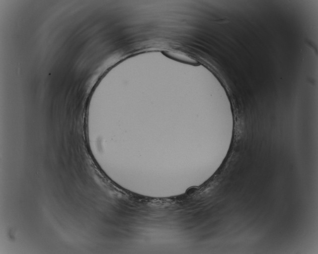 X0000103301146200809261307