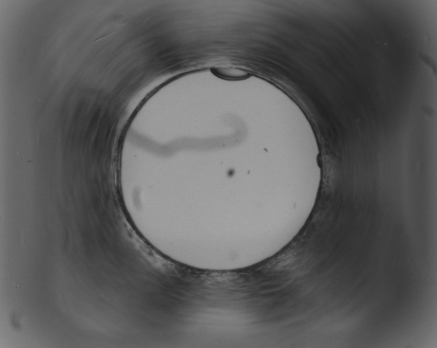 X0000103301148200809261307