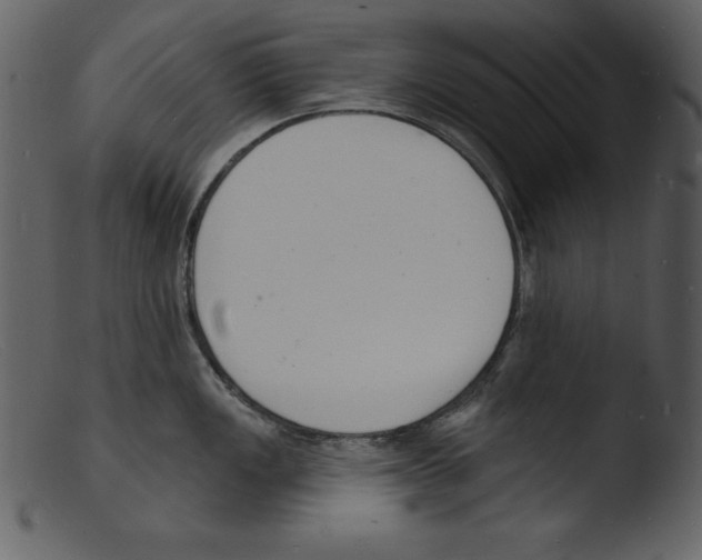 X0000103301149200809261307
