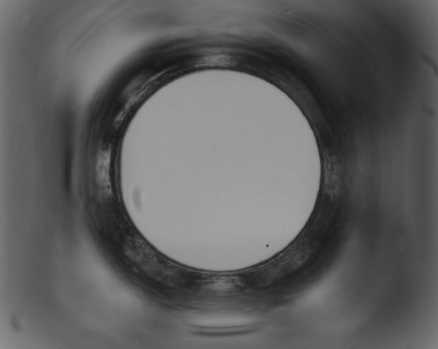 X0000103301150200809261307