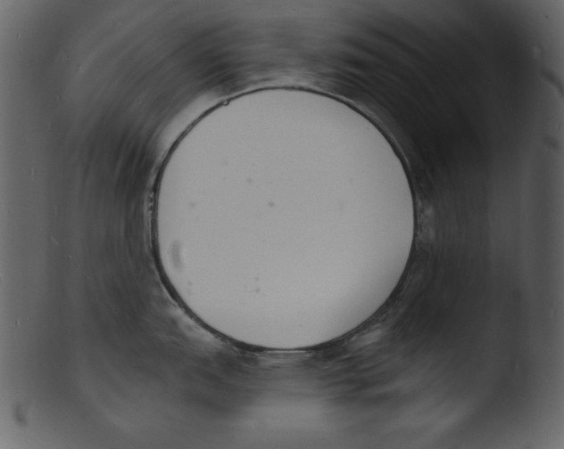 X0000103301151200809261307