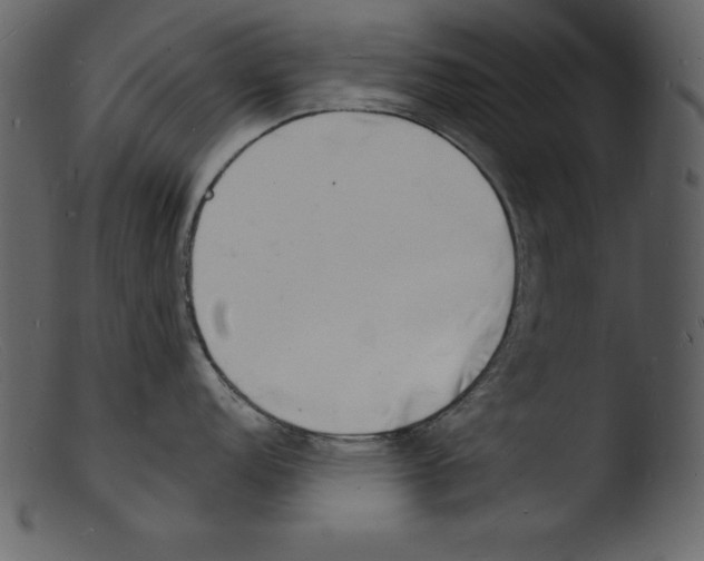 X0000103301152200809261307