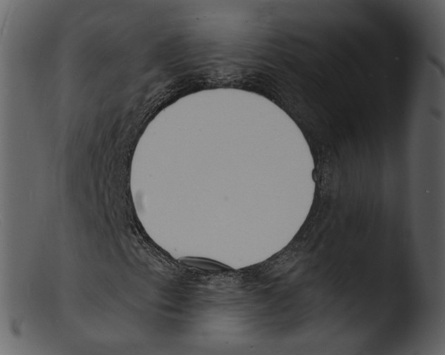 X0000103301153200809261306