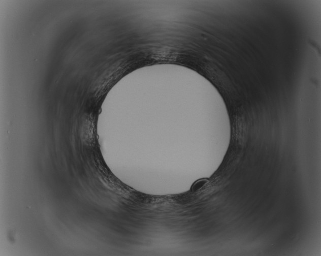 X0000103301154200809261306