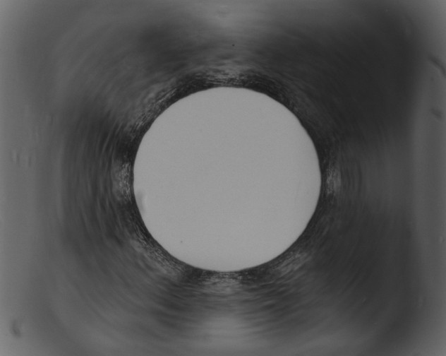 X0000103301156200809261306