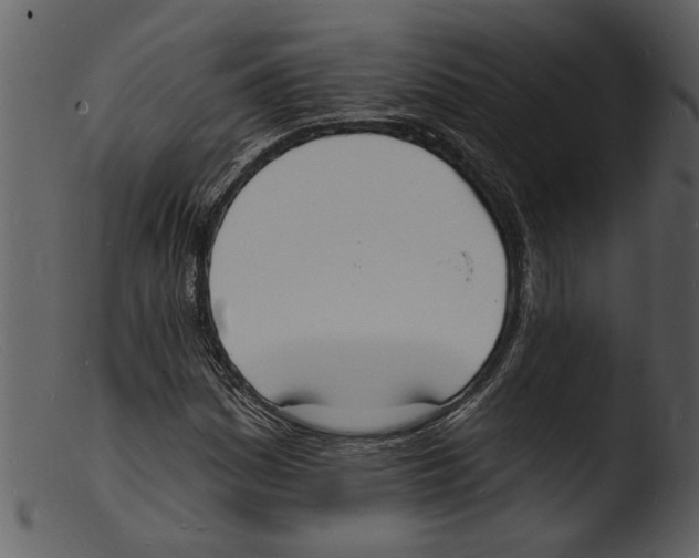 X0000103301161200809261306