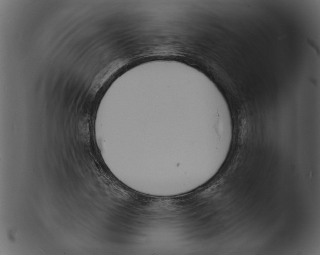 X0000103301162200809261306