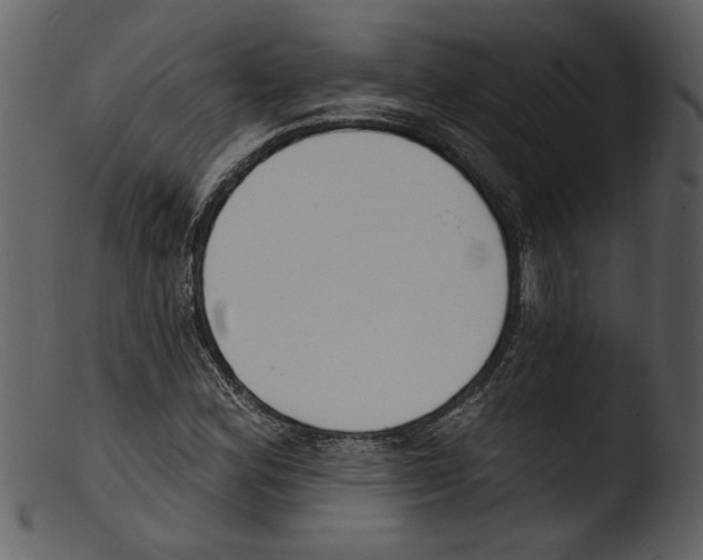X0000103301164200809261306