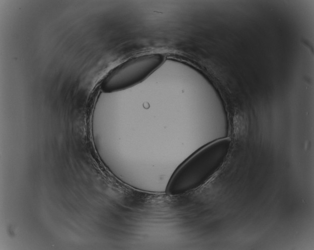 X0000103301165200809261306