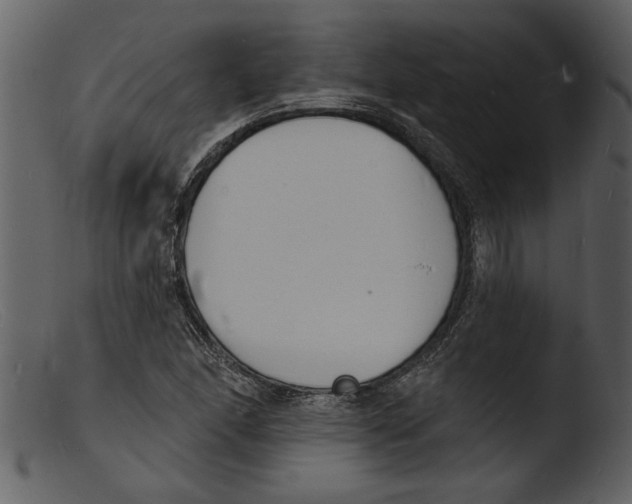 X0000103301166200809261306