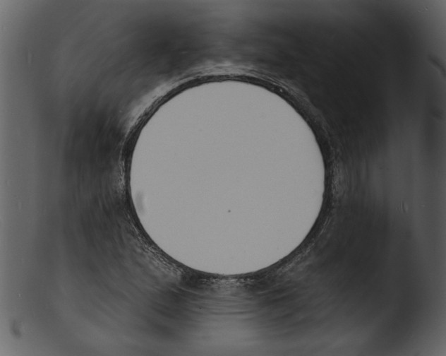 X0000103301167200809261306