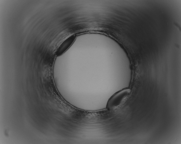 X0000103301169200809261306