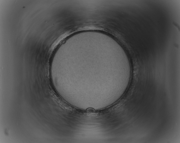 X0000103301173200809261306