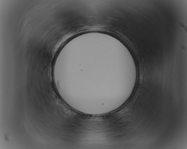X0000103301174200809261306