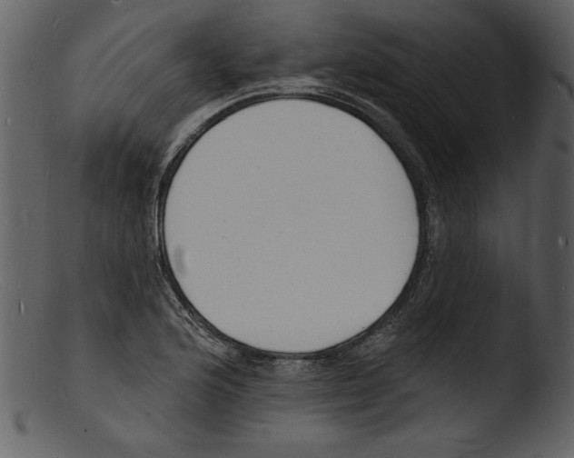 X0000103301176200809261306