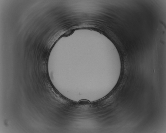 X0000103301177200809261306