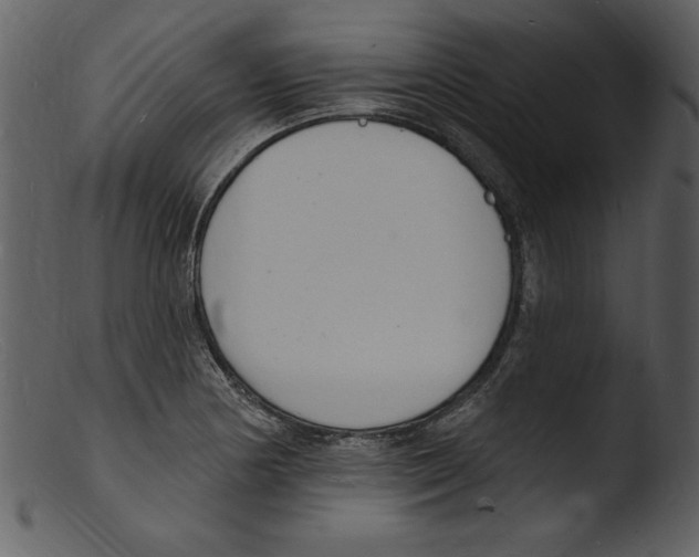 X0000103301178200809261306