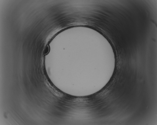 X0000103301179200809261306