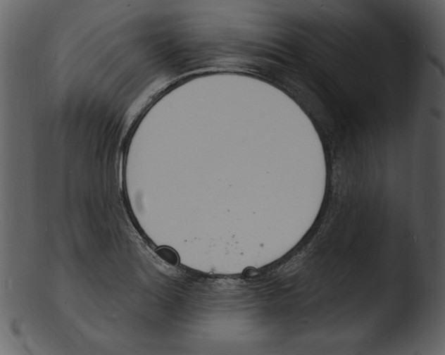 X0000103301180200809261306