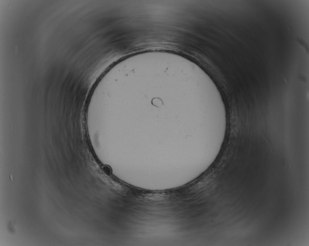 X0000103301182200809261306