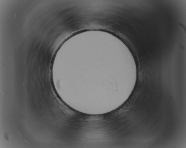 X0000103301183200809261306