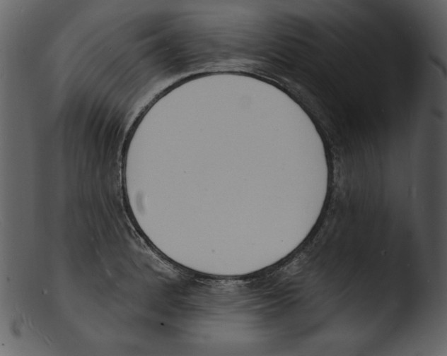 X0000103301184200809261306