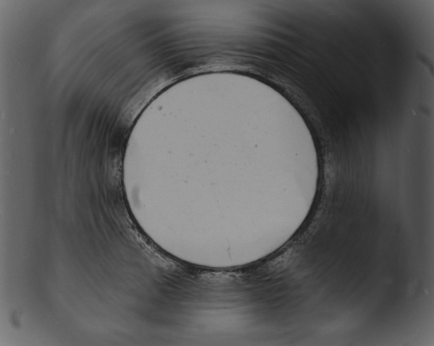 X0000103301185200809261306