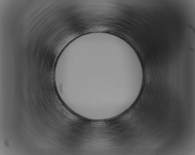 X0000103301186200809261306