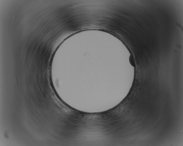 X0000103301187200809261306