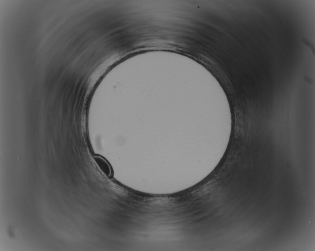 X0000103301188200809261306