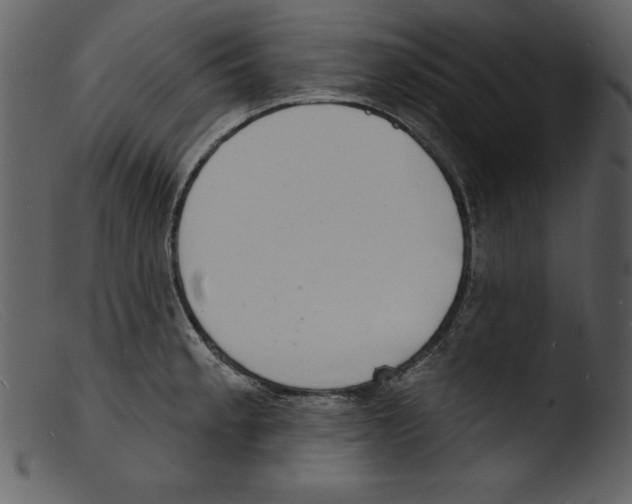 X0000103301189200809261306