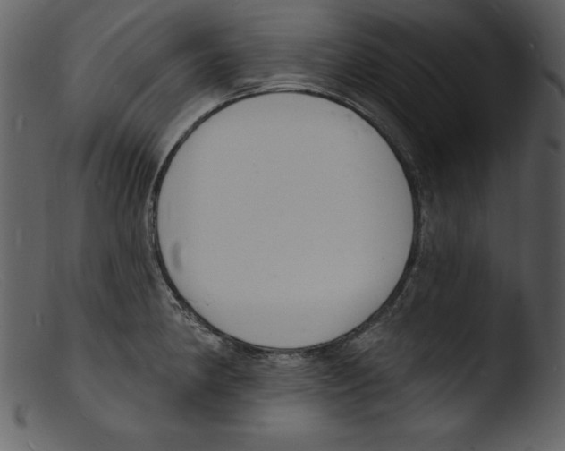 X0000103301190200809261306