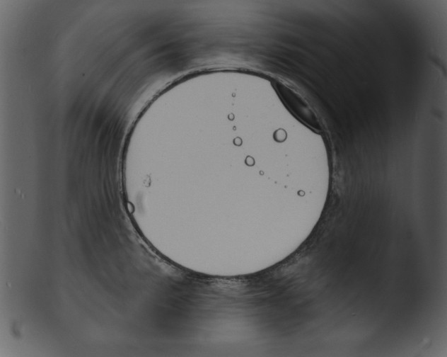 X0000103301191200809261306