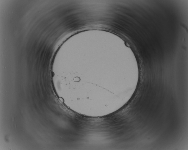 X0000103301192200809261306