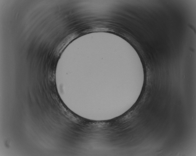 X0000103301193200809261306