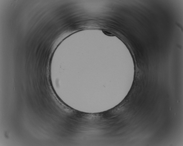 X0000103301195200809261306