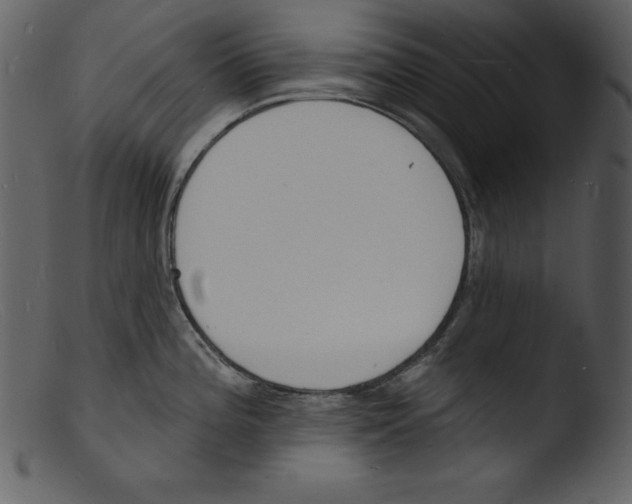 X0000103301196200809261306