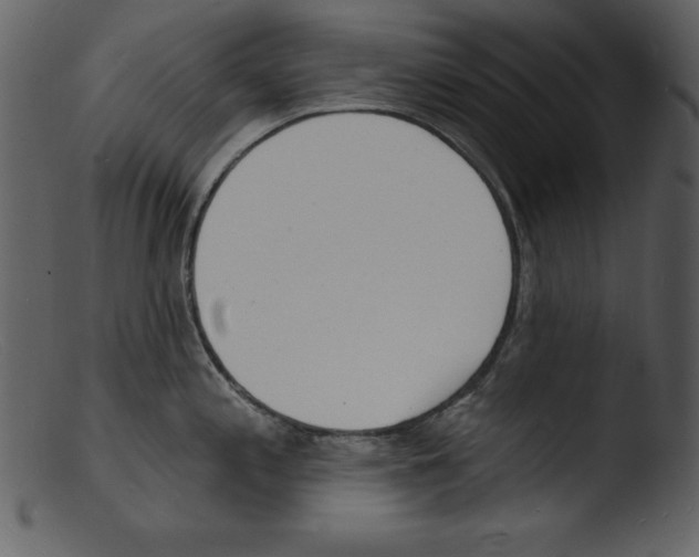 X0000103301197200809261306